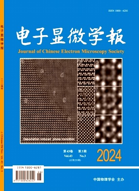 电子显微学报