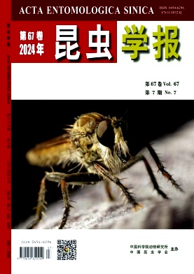 昆虫学报