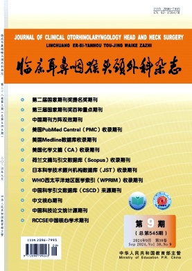 临床耳鼻咽喉头颈外科杂志