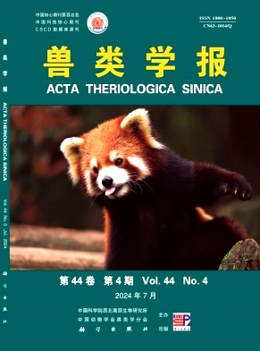 兽类学报