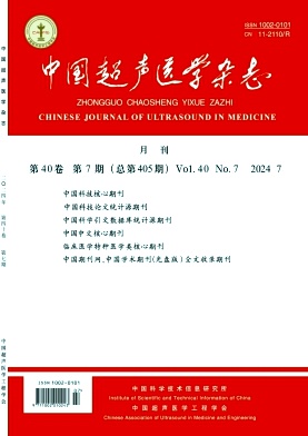 中国超声医学杂志