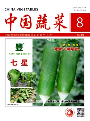 中国蔬菜