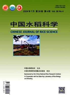 中国水稻科学