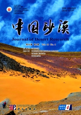 中国沙漠