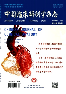 中国临床解剖学杂志